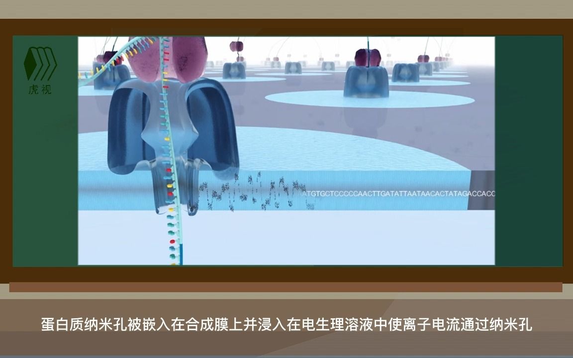 纳米孔的DNA与RNA测序技术哔哩哔哩bilibili