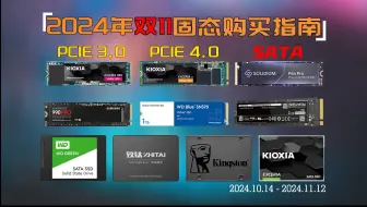 Download Video: 【⚠️双十一装机必看】2024年双11高性价比固态硬盘推荐 | PCIE3.0、PCIE4.0、SATA机械硬盘选购指南！铠侠、西部数据、致态、三星、宏碁M.2