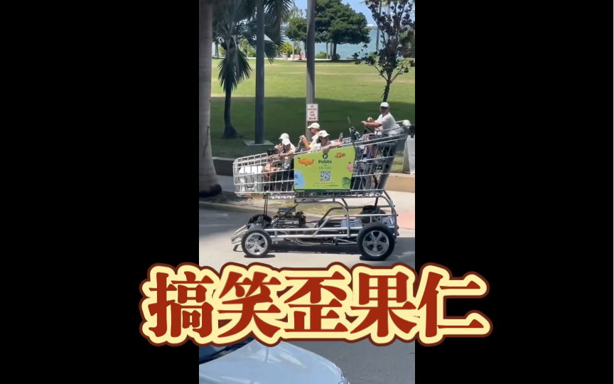 搞笑歪果仁!大家人坐大号的购物车,真是人才啊