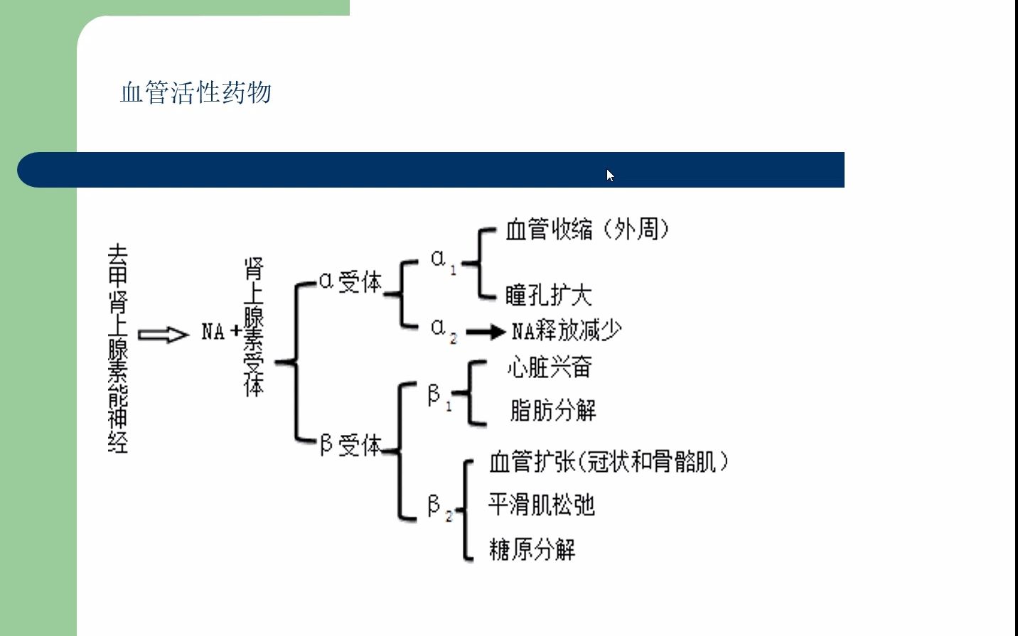 浅谈围手术期血管活性药物的应用之去甲肾上腺素哔哩哔哩bilibili