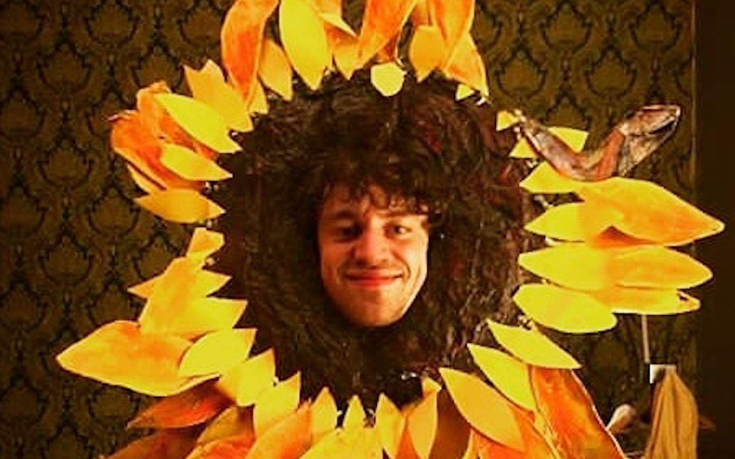 cosmosheldrake部分官方live合集16p