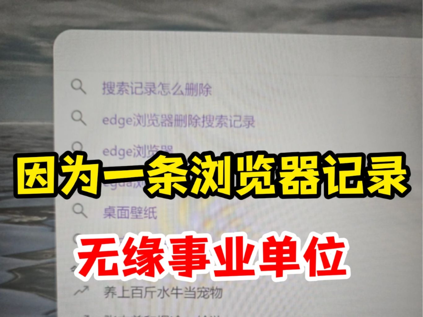 到手的编制直接飞了...原来事业单位政审还查浏览器记录这些,亲手断送了自己的前途..哔哩哔哩bilibili