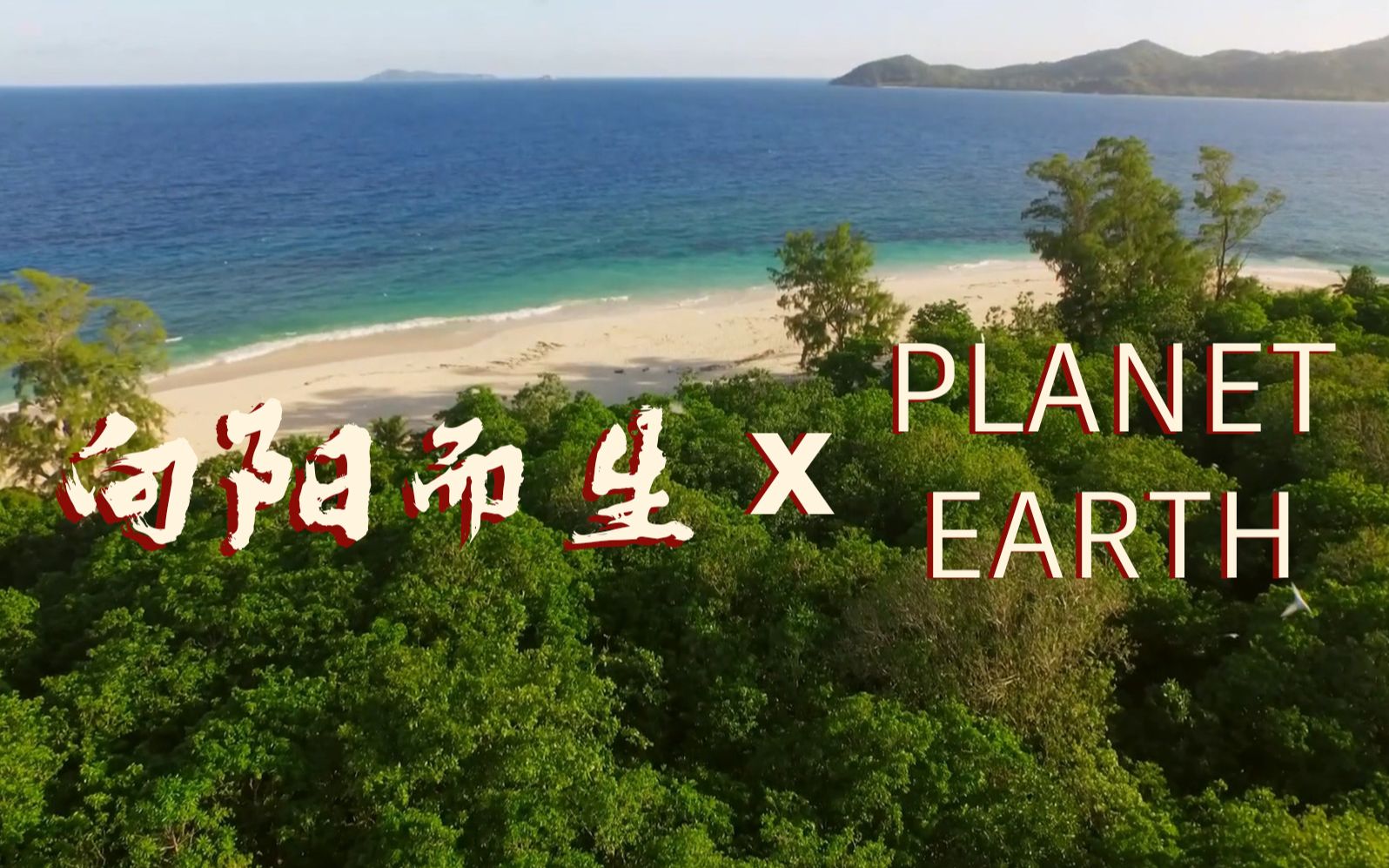 [图]【纪录片混剪】华晨宇向阳而生 x PLANET EARTH II （片段）