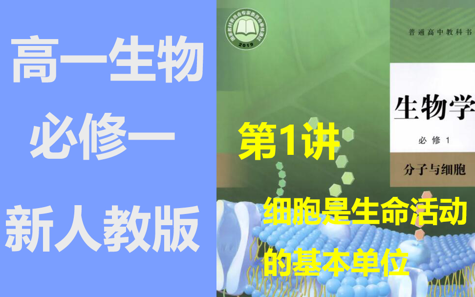 高一生物必修一 细胞是生命活动的基本单位 分子与细胞 2021新人教版 高中生物必修第一册 2019新教材新课标高一生物上册生物学哔哩哔哩bilibili