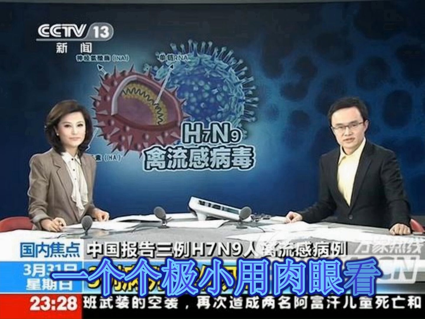 4.你好毒--生物病毒版3分51秒