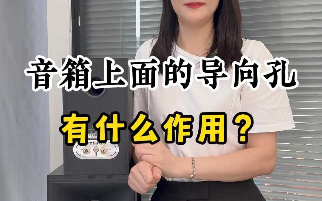 音箱上面的导向孔有什么作用?哔哩哔哩bilibili