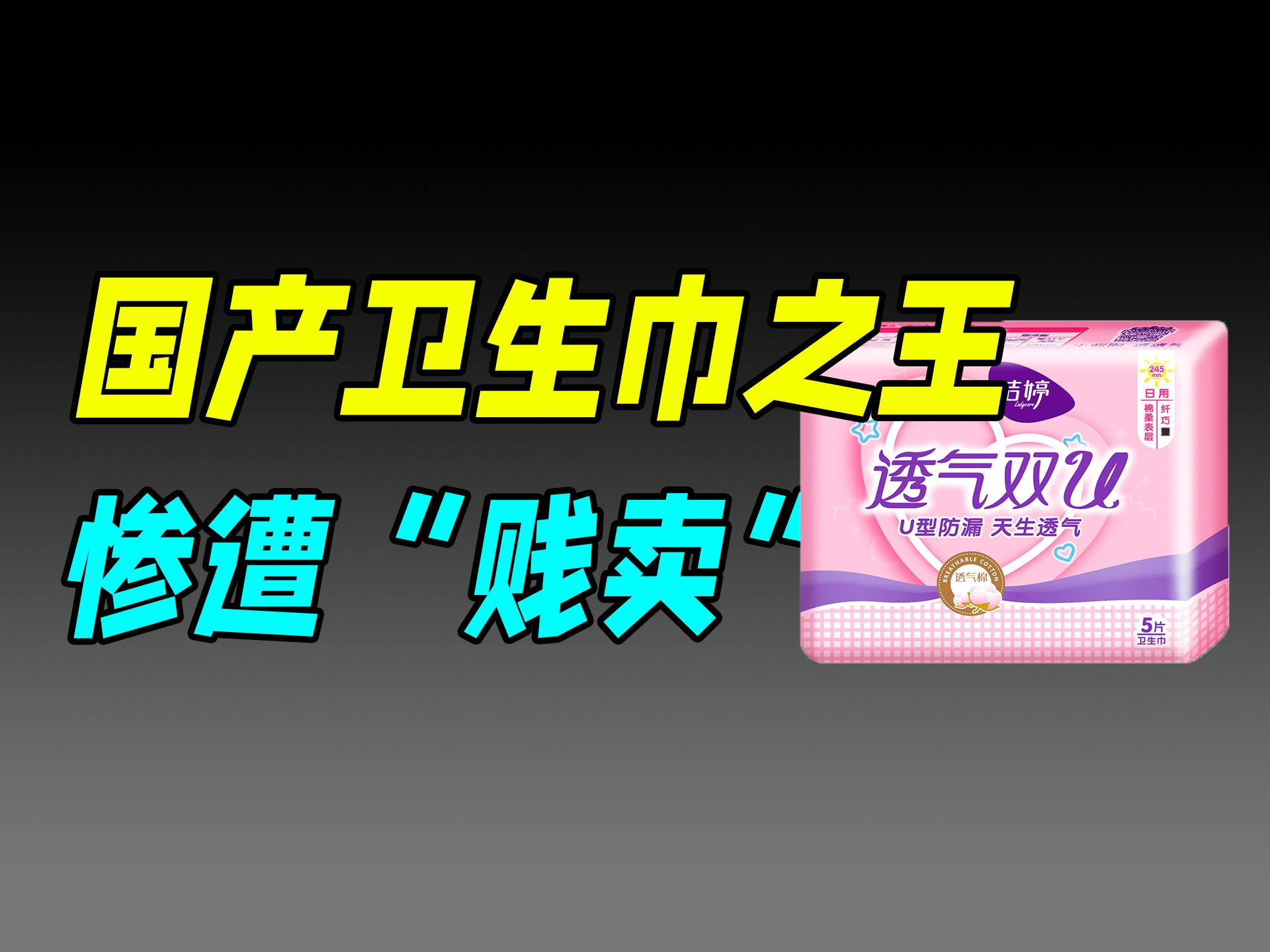 全网催雷军做的生意,被湖北前首富放弃了!(洁婷)哔哩哔哩bilibili