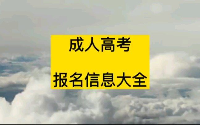 考试信息大全:成人高考报名条件,成人高考考试必备哔哩哔哩bilibili