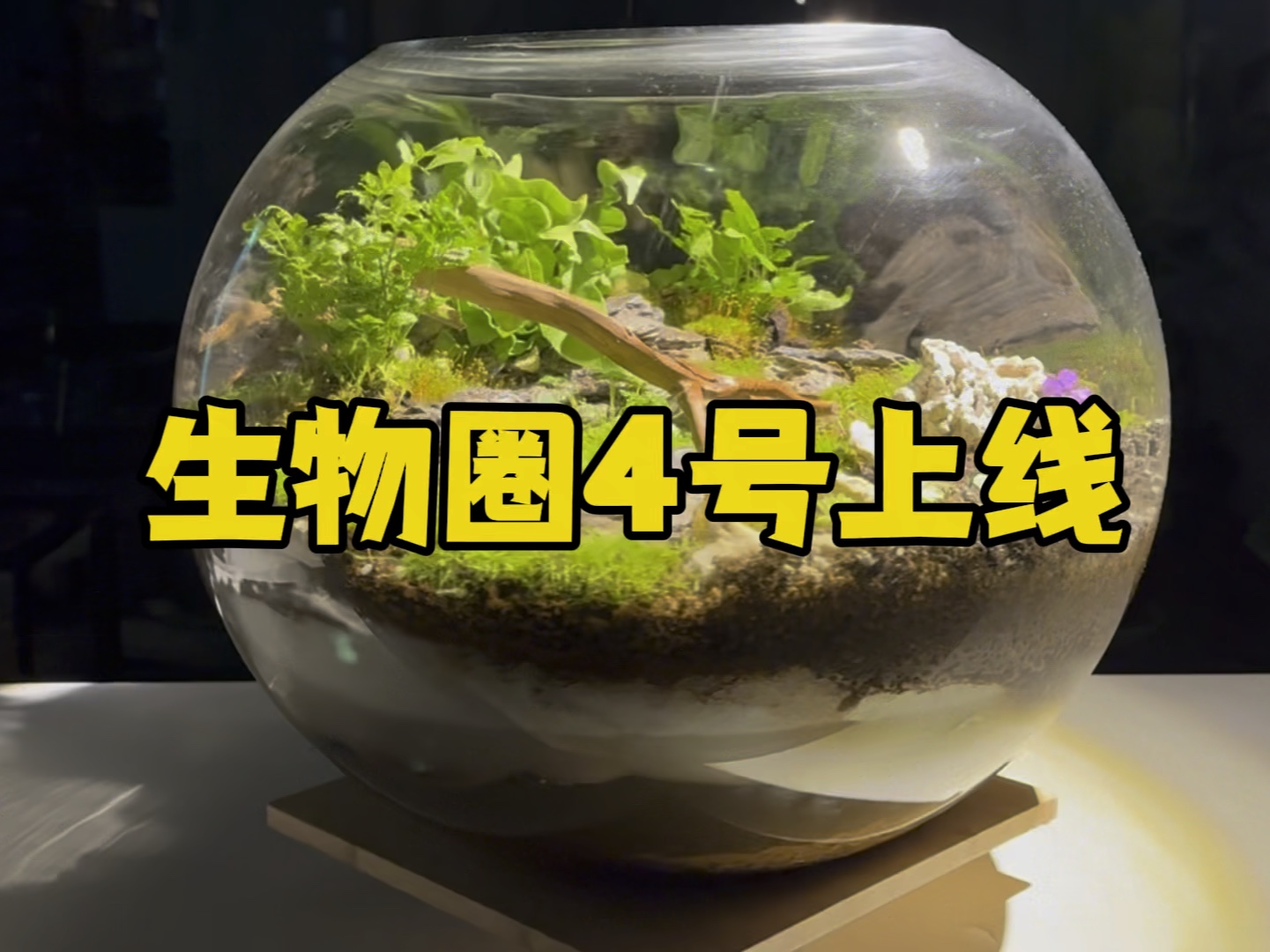 [图]生物圈升级版来啦！