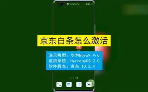 Download Video: 京东白条怎么激活？京东白条激活