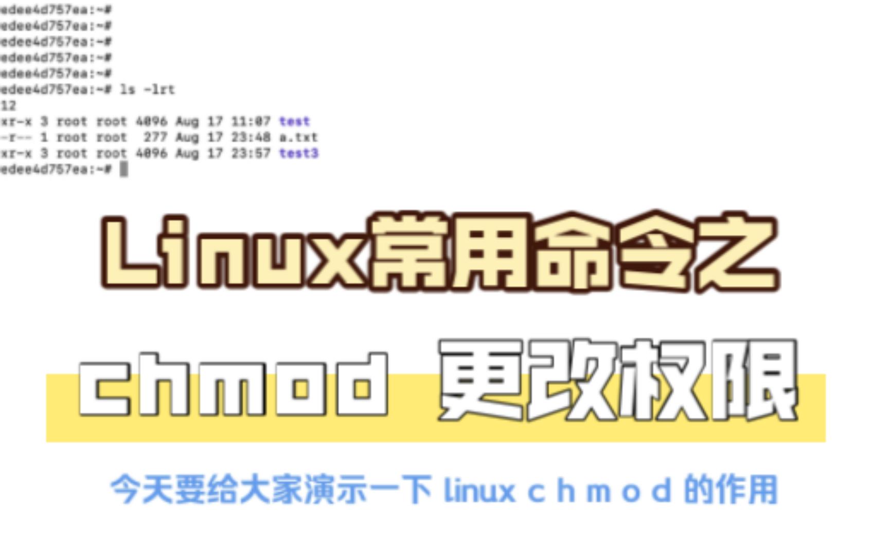 Linux常用命令之chmod更改文件目录权限哔哩哔哩bilibili