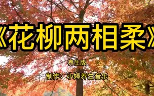 下载视频: 顶级纯音乐《花柳两相柔》古筝竹笛加长版，悠扬动听，静心安神