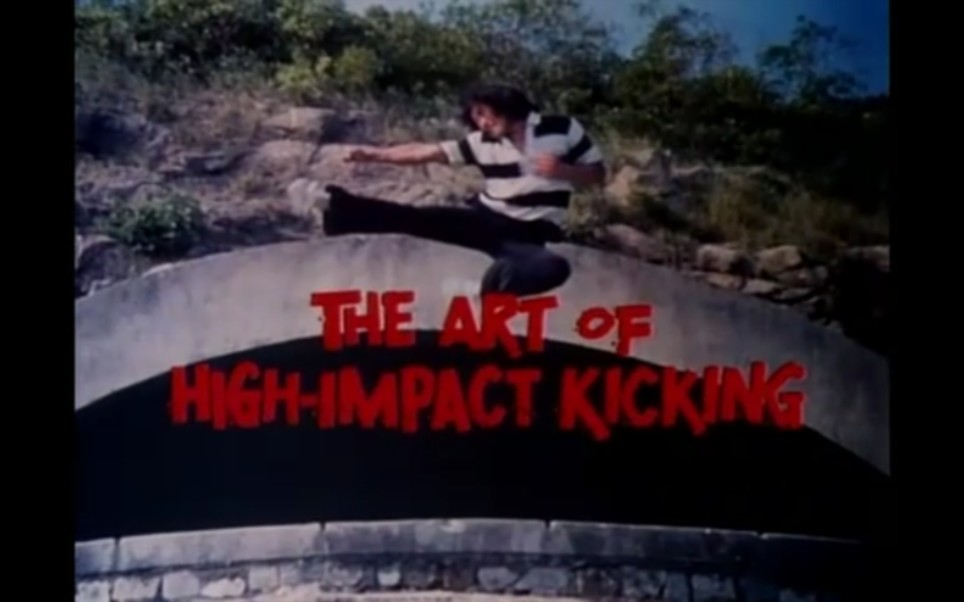 黄正利腿法教学The Art Of High Impact Kicking哔哩哔哩bilibili