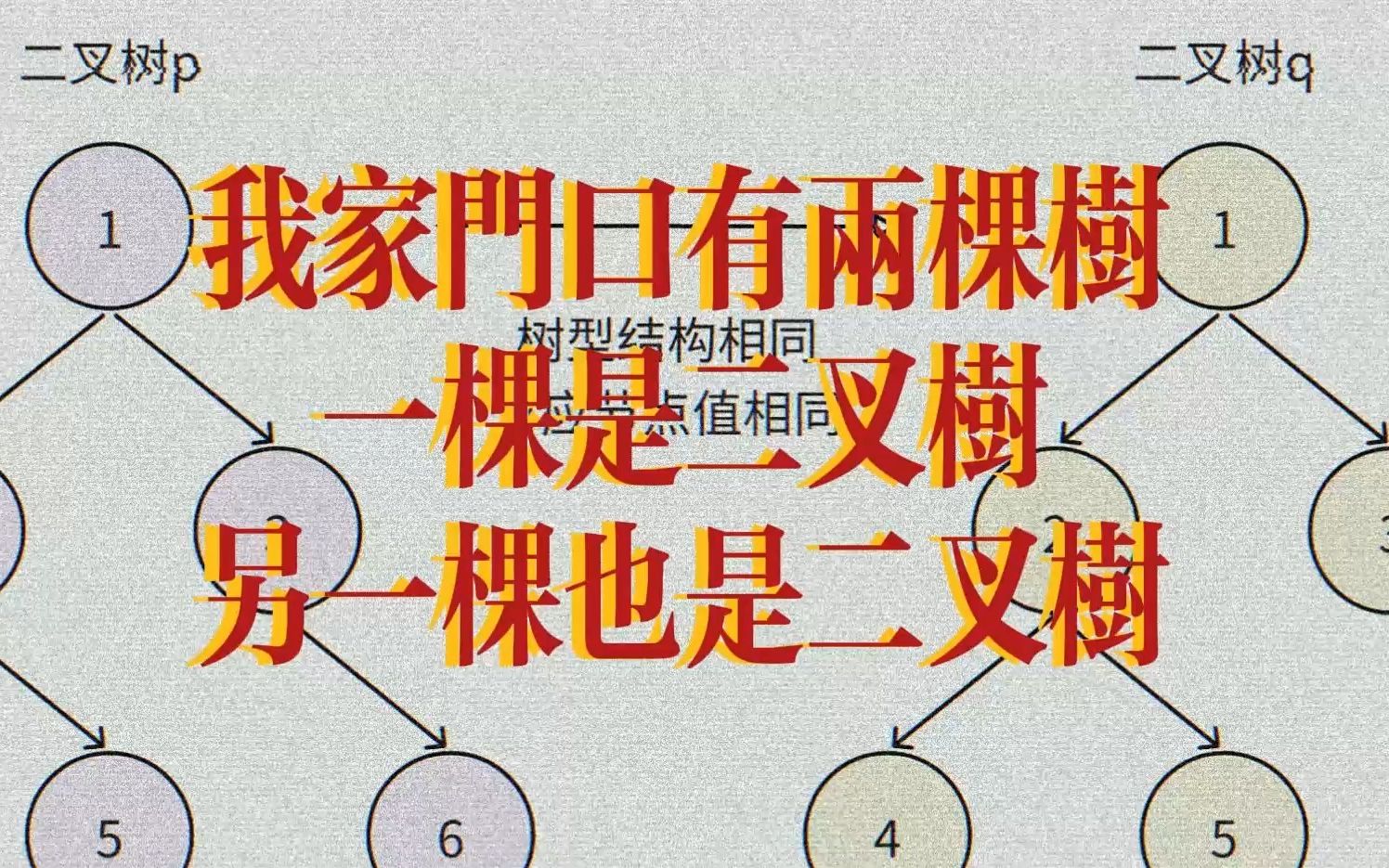 用传奇纪录片的方式打开算法题:我家门口有两棵二叉树哔哩哔哩bilibili