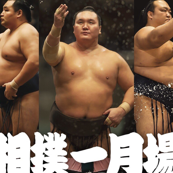 平成31年 大相撲初場所 １月２５日 金曜日（13日目）４人マスC席チケット 西14側【送料無料】 平成２８（２０１６）年１月場所優勝　大関　琴奨菊和弘関 | 大相撲まいにち部屋（大相撲優勝ミニ額販売公式サイト） powered by BASE