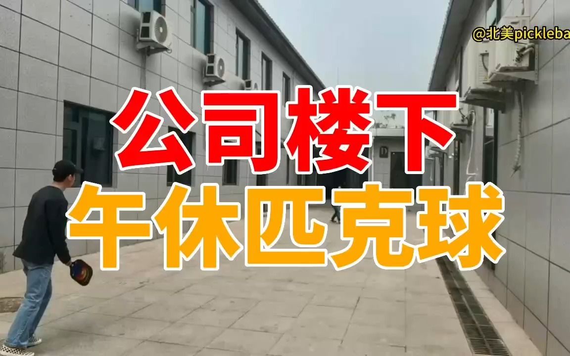 北京午休时间公司楼下匹克球哔哩哔哩bilibili