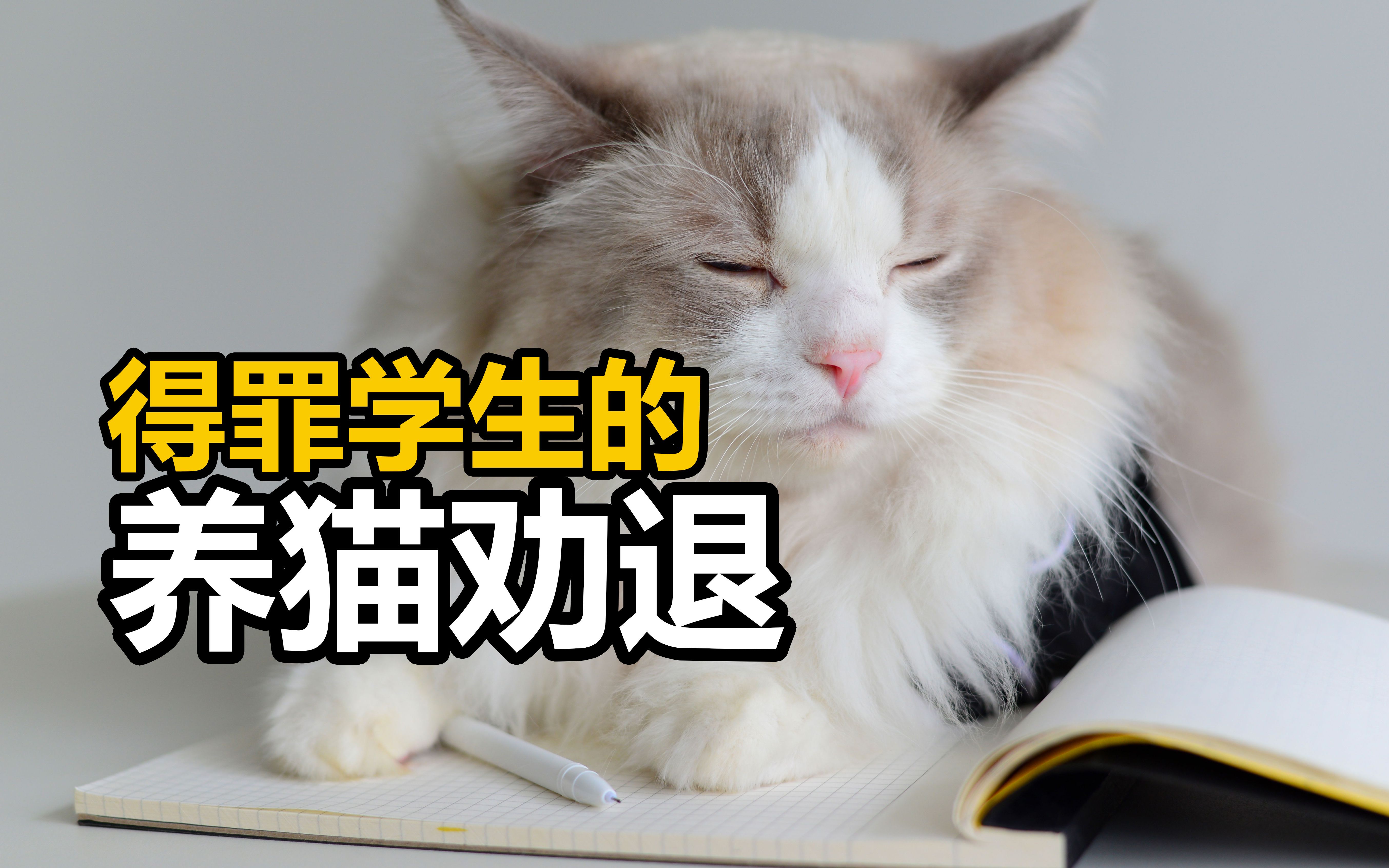 [图]这个养猫劝退可能会打碎大学生的养猫梦 但都是真心话