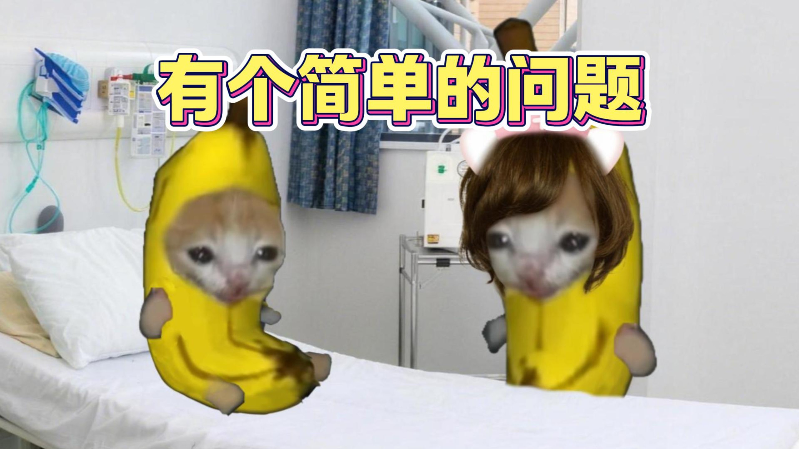 有个简单的问题-白薯的猫meme-白薯的猫meme-哔哩哔哩视频