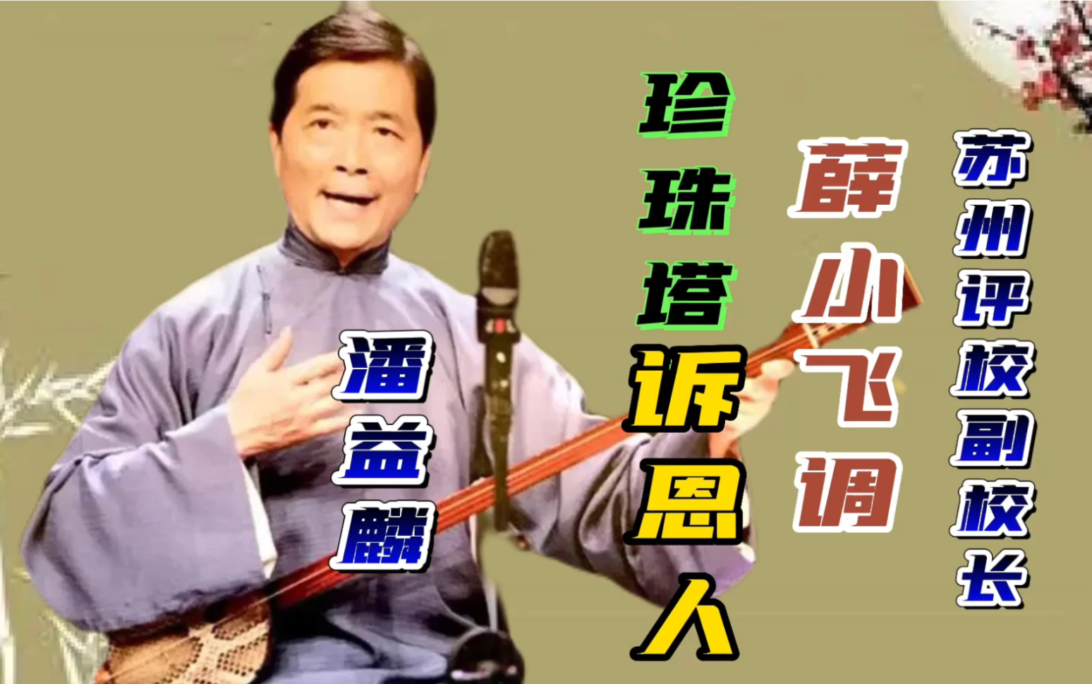 [图]评弹名家潘益麟弹唱薛小飞调《珍珠塔.诉恩人》好听！