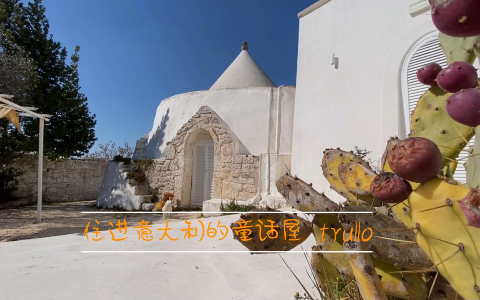 [图]奥斯图尼/意大利南部的童话屋-trullo（走进地中海）