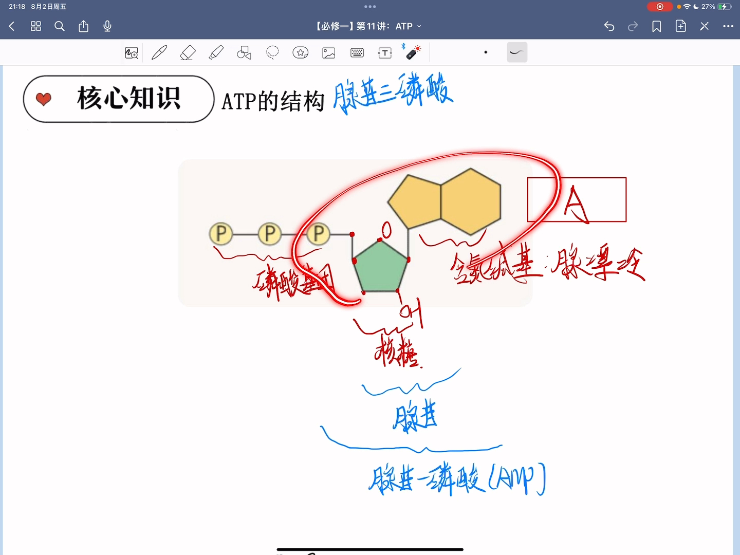 [高中生物必修一]atp的结构