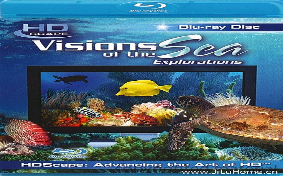 风光纪录片《大海的风景:探索 Visions of the Sea: Explorations (2005)》全1集 无对白 720P高清纪录片哔哩哔哩bilibili