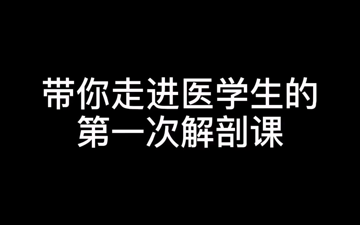 带你走进医学生的第一次解剖课哔哩哔哩bilibili