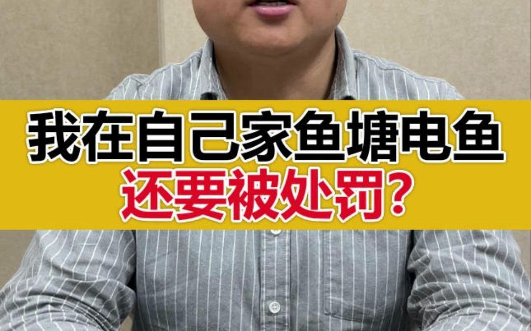 在自家鱼塘电鱼是否违法?哔哩哔哩bilibili