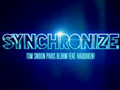 [图]「屏幕歌词」Tom Swoon & Paris ft. Hadouken!-Synchronize