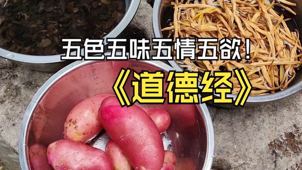 小老鼠为什么饿了吃肥皂而不吃香皂?再谈五味五色五音五情五欲对人的伤害(更多更新关注小宇宙ap.)哔哩哔哩bilibili