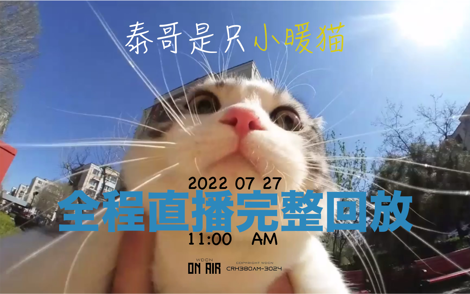 【泰哥是只小暖猫】20220728直播 日间11点场_哔哩哔哩_bilibili