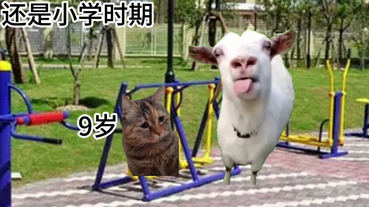 [图]【猫meme】经历最多性骚扰的时间居然是小学……