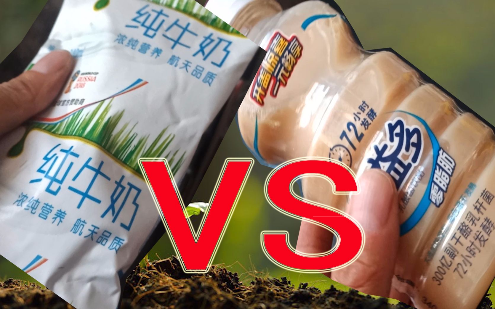 300亿乳杆菌对比纯牛奶,究竟哪个更值得喝?显微镜下放大1000倍看看