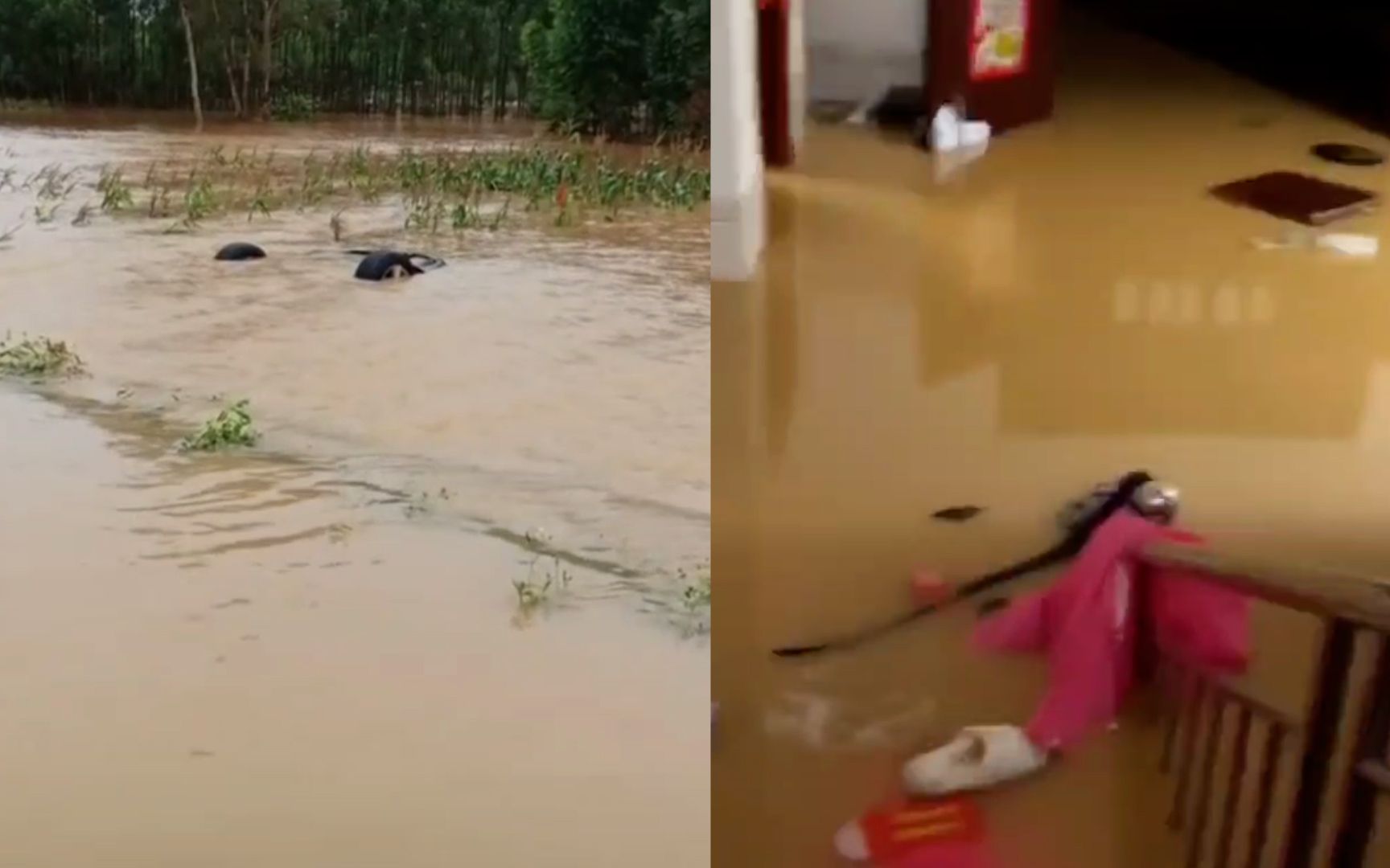 广西玉林突降暴雨致多个乡镇被淹,气象台曾发布暴雨橙色预警哔哩哔哩bilibili