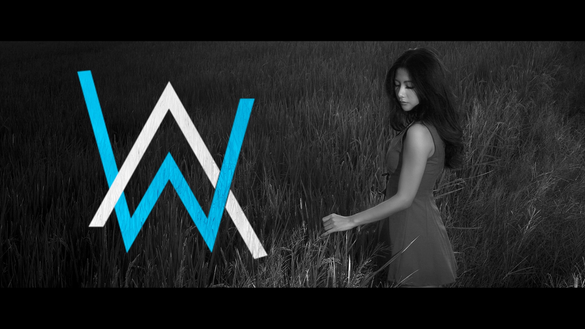 [图]挪威DjAlan Walker(艾倫·沃克) - Imaginary Dreams