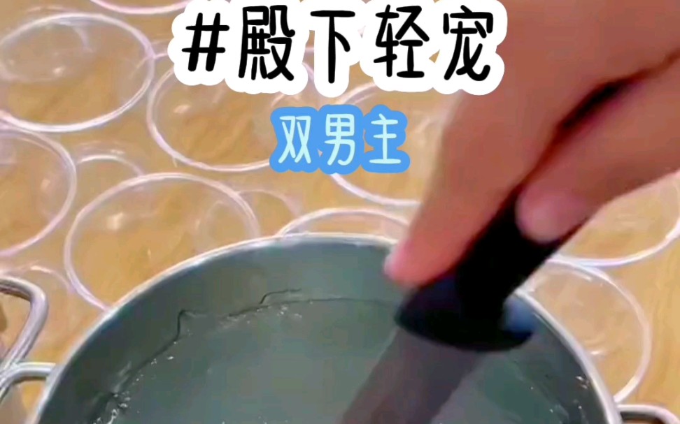 茗《殿下轻宠》小说推荐哔哩哔哩bilibili