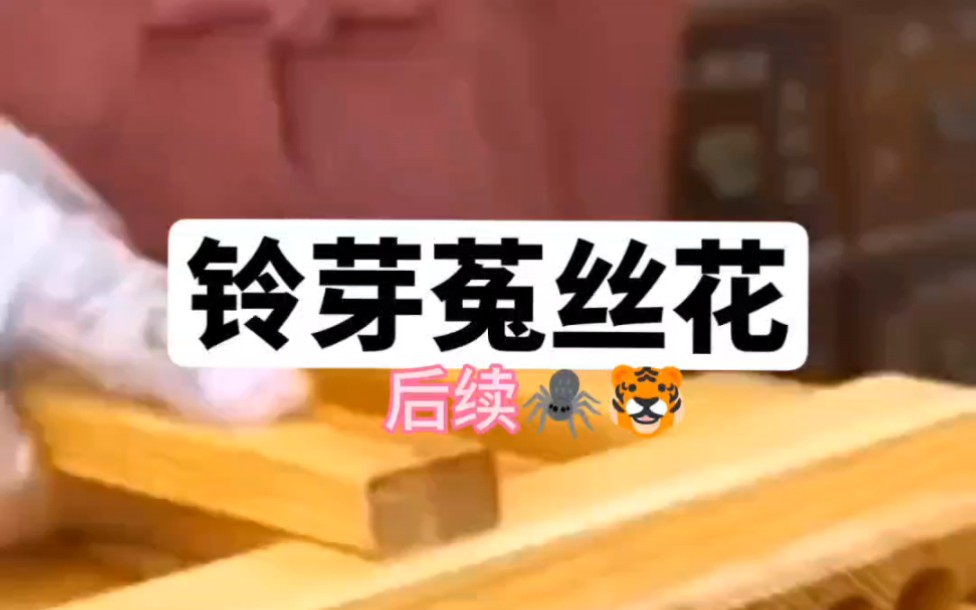 书:铃芽菟丝花#炒鸡好看小说推荐#远离绿茶#艾特你想艾特的人