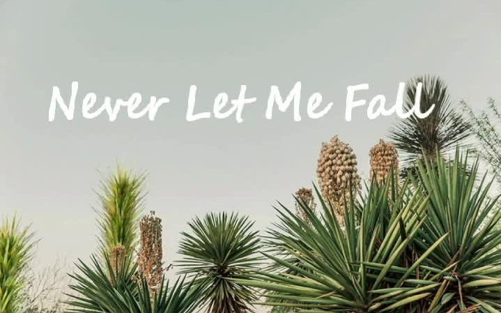 [图]《 Never Let Me Fall 》- Cimorelli