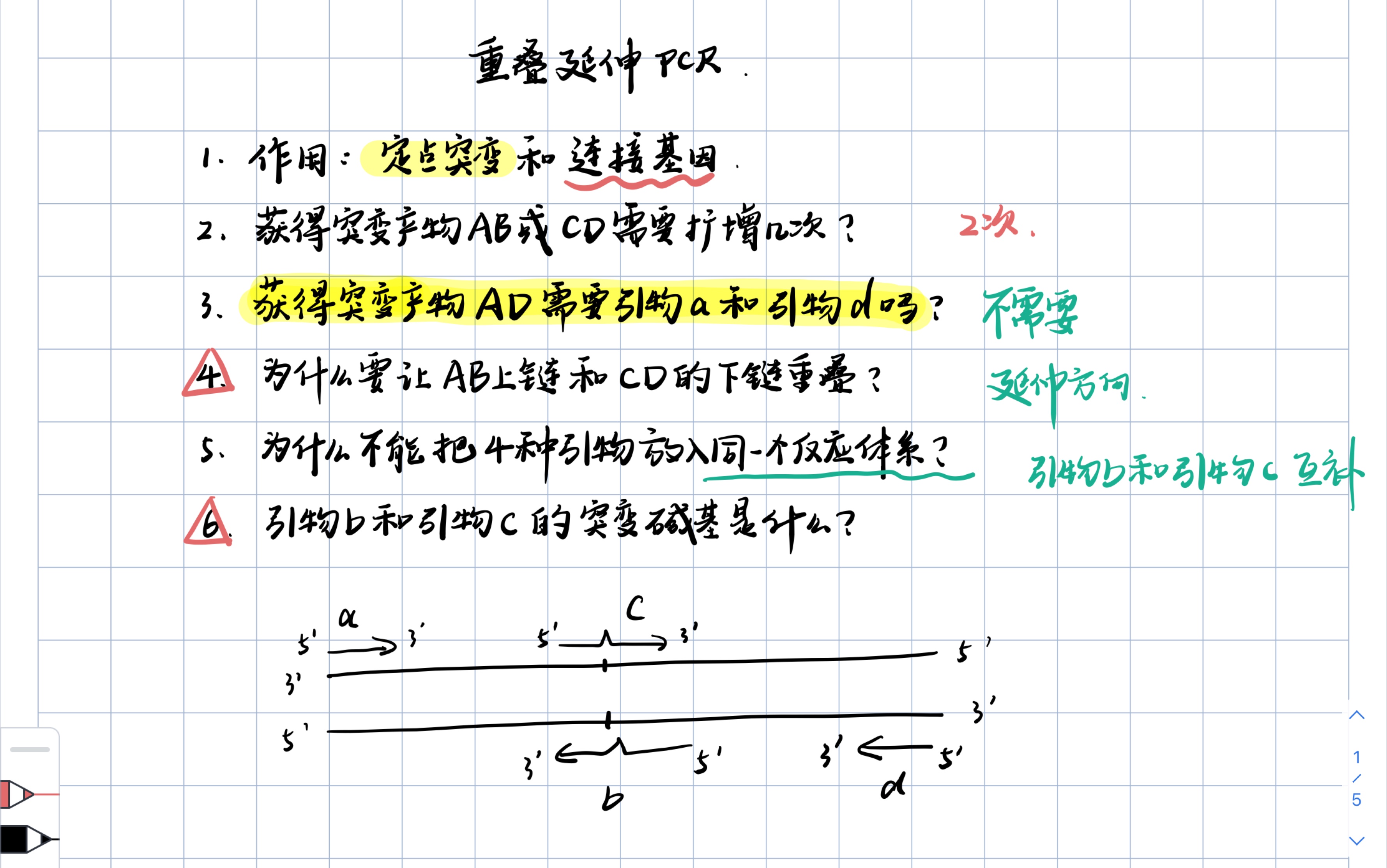 [图]【基因工程】重叠延伸PCR知识点一网打尽！题目中出现的知识点全都总结到一起，不怕你学不会！快高考的同学也来看看吧，没准儿能再提高五分！