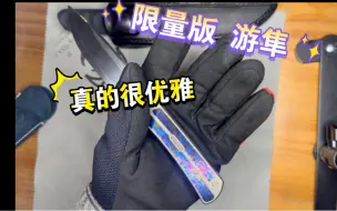 Download Video: 【哥们的折刀收藏】小七家限量版游隼展示