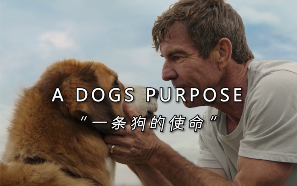 “四生四世，只为回到你身边”