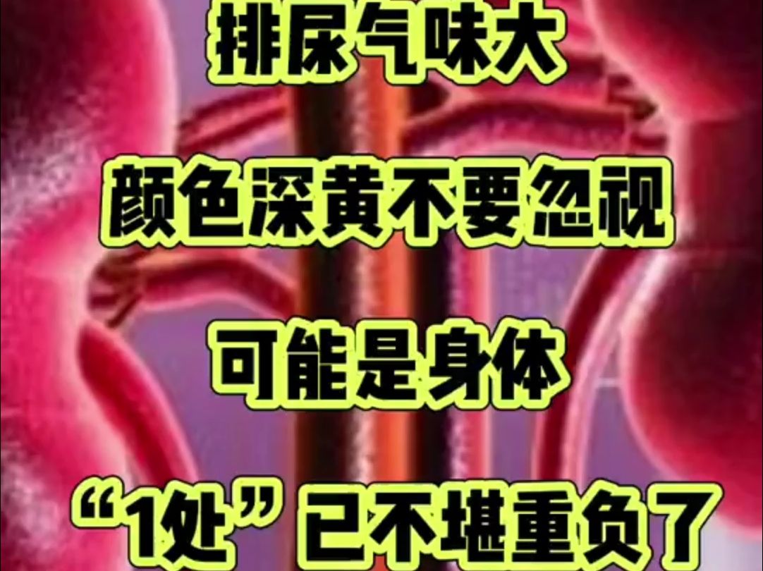 排尿气味大颜色深黄,不要忽视,可能是身体“1处”不堪重负了哔哩哔哩bilibili