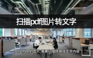 Download Video: 想要扫描pdf图片转文字？扫描PDF转Word教程