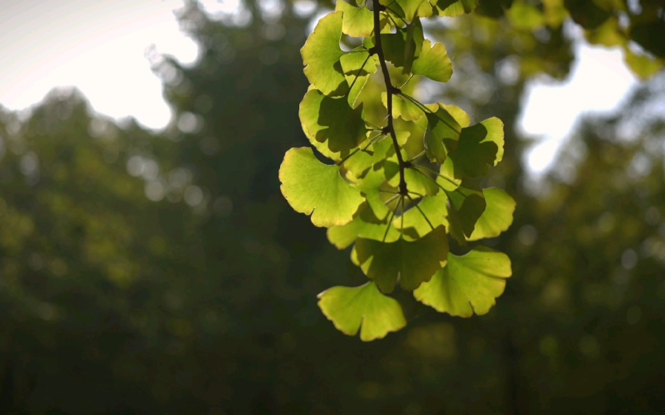 生活影像|记录秋天的暖阳