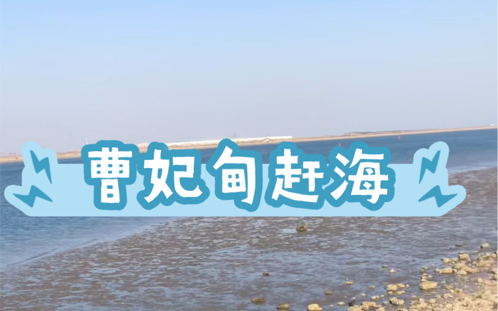 曹妃甸赶海哔哩哔哩bilibili