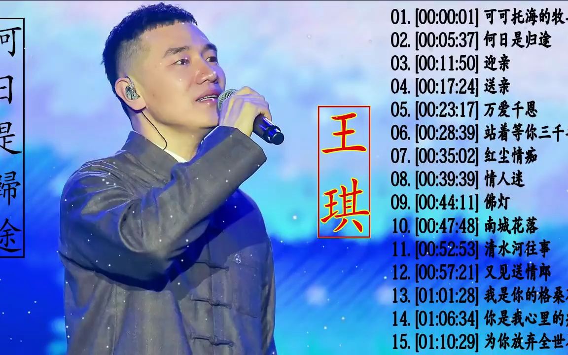 [图]王琪精选歌曲15首 可可托海的牧羊人 何日是归途