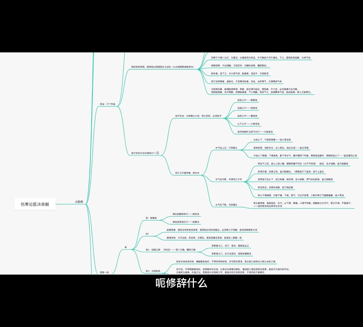 [图]必剪伤寒之路1-医决串解