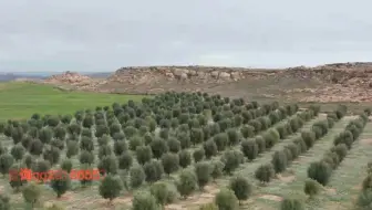 呕心沥血推荐新浪微博视频排名软件开发全程