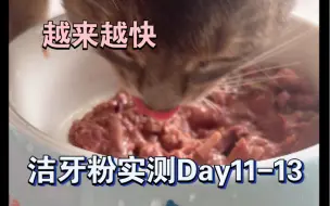 Download Video: 洁牙粉实测Day11-13 感谢全世界最好的模特小猫咪