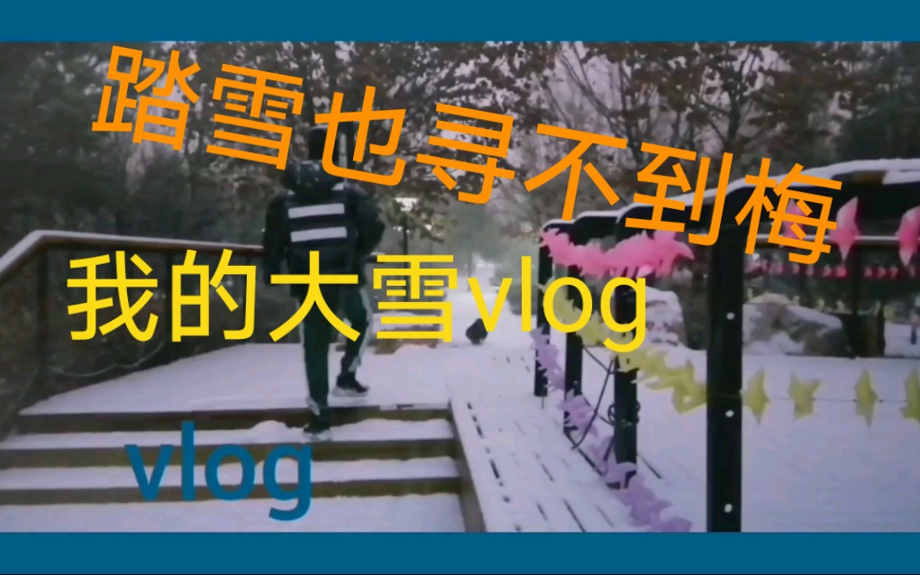 [图]踏雪寻不到梅vlog，宛如去玩雪啦